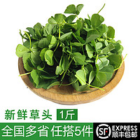 绿食者新鲜草头500g 金花菜 上海本地农家三叶菜 新鲜蔬菜苜蓿草