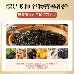 南方黑芝麻 南方桑椹核桃黑芝麻粉膳食黑养早餐480g配料干净代餐