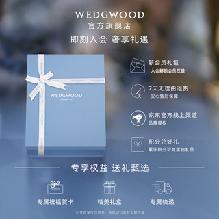 WEDGWOOD威基伍德意大利浮雕11cm米饭碗餐碗瓷碗小饭碗 意大利浮雕11cm米饭碗