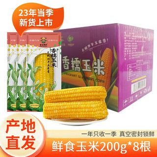 吉谷良时 黄糯玉米8棒*200g