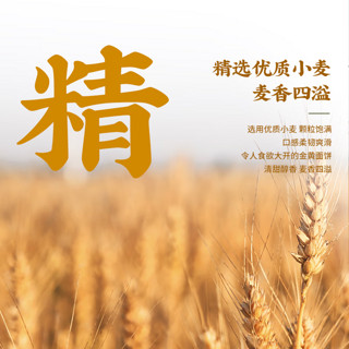 BAIXIANG 白象 红烧排骨面*5袋