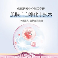 CHANDO 自然堂 雪润皙白洁水乳精套装含正装面霜眼霜美白淡斑