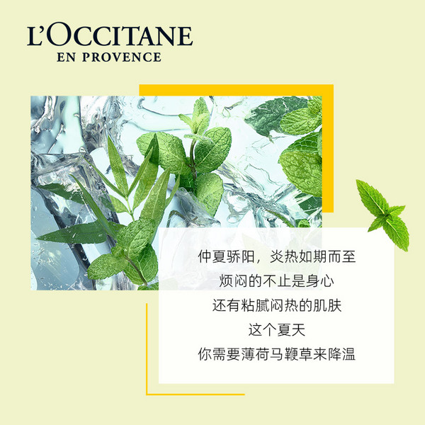 L'OCCITANE 欧舒丹 果漾马鞭草沐浴露 250ml+薄荷马鞭草润肤霜 250ml+随机礼盒（赠 随机礼袋+樱花沐浴露 35ml）