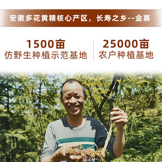 和记润元大别山九晒九蒸九制多花黄精茶养生茶仿野生泡茶即食辟谷