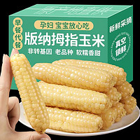 春季热卖！！拇指小玉米西双版纳香糯非转基因袖珍糯玉米健康食品A级4斤