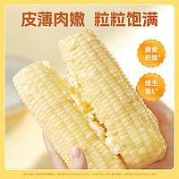 农科玉 玉米 精品紫糯6根(每根260g)