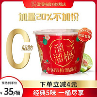 LIUM 溜溜梅 青梅全家桶480g蜜饯果脯梅干宝藏桶酸甜果干大礼包网红零食