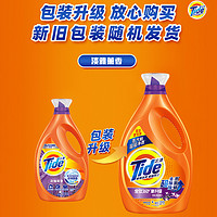 Tide 汰渍 洗衣液全效升级超强洁净淡雅薰衣草香无磷去渍除菌除螨洗衣液