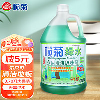 lanju 榄菊 绿水3.78L地板清洁剂薄荷辟味地板水拖地清洁剂 植物防叮