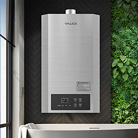 Yalice 雅丽诗 恒温燃气热水器电家用12L升天然气洗澡即热强排式 R31