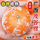 尙楚坊广西茂谷柑 9斤 单果75-80mm 新鲜水果脏脏橘石灰柑源头直发包邮