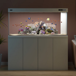 德克（D&A）德彩系列大型龙鱼缸客厅养鱼超白玻璃生态底滤家用落地智能水族箱 星空银 100x40x155cm