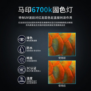 马印鱼缸灯NEC龙鱼灯增色潜水灯防水三基色6700k水族箱 马印龙鱼固色灯6700k(172CM-70W)