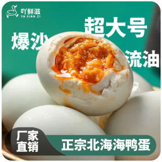 亿福田 烤海鸭蛋  60g*10枚