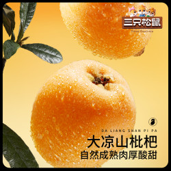 threesquirrels三只松鼠厚无核酸甜琵琶蜜饯果干小吃