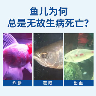 奈宠（NaiChong）水族观赏鱼盐鱼缸消毒杀菌盐鱼矿物盐海盐净水养鱼通用抗菌盐 【精品矿物白盐】2500g（约400颗）