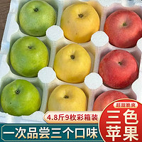 京果甜 山东三色苹果水果富士黄金维纳斯苹果节日送礼盒9枚净重4.8斤