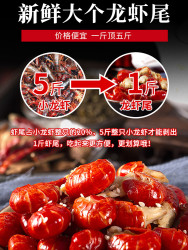 味必然 无冰衣龙虾尾鲜冻小龙虾冷冻生鲜不带冰特级大号10斤整箱批发虾球