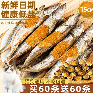 熊熊良铺 猫咪零食冻干多春鱼营养增肥发腮小鱼干磨牙成幼猫粮零食 100g约50条