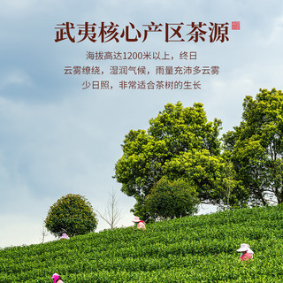 陈一凡 大红袍乌龙茶新茶 茶叶新茶武夷岩茶乌龙 便携小方片礼盒装30g