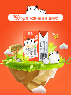 88VIP：奶气 A2β-酪蛋白铁锌钙儿童牛奶早餐mini宝宝牛奶125ml*10盒整箱