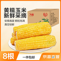 佟创 东北甜糯玉米黄糯白糯黑糯 大棒＞260g 新采真空包装鲜食玉米 黄糯玉米8棒 均重＞260g