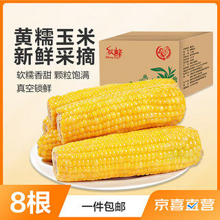 佟创 东北甜糯玉米黄糯白糯黑糯 大棒＞260g 新采真空包装鲜食玉米 黄糯玉米8棒 均重＞260g