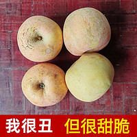 歌益鲜 正宗山东烟台丑苹果 80mm(含)-85mm(不含) 4.5斤