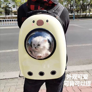 zhenchongxingqiu 珍宠星球 宠物航空箱