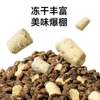 诚实一口 P40 PLUS零肉粉鲜肉猫粮6kg