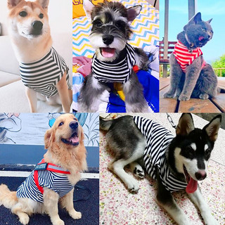 ISPET狗狗衣服宠物泰迪猫咪衣服金毛大中小型犬薄款秋冬打底&新疆棉 深蓝 5XL 46-70斤狗狗适用