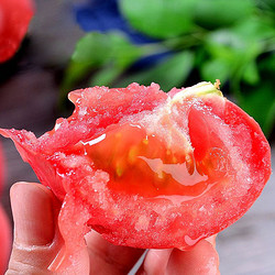京鲜生 普罗旺斯西红柿 番茄 特大果 2.5kg 约12个左右