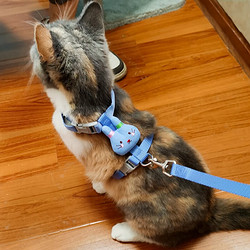 康贝尼 猫绳牵引绳猫用防挣脱工字猫咪胸背带成猫幼猫可调节猫绳子猫用品 蓝色 S（2-7斤猫用）