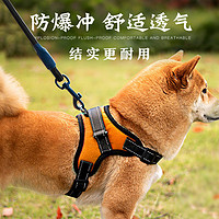 磊嘉狗绳狗链柯基胸背带牵引绳中大型小型犬遛狗绳柴犬 亮橙胸背带1个2米狗绳1根 L（建议40-60斤）