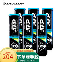 DUNLOP 邓禄普 ATP四粒装胶罐6筒 601333