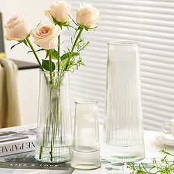 简约欧式玻璃花瓶透明水养鲜花玫瑰百合富贵竹客厅餐桌插花摆件 竖纹锥桶圆口中号20cm一只装