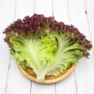 【千牛优福】红叶生菜500g罗莎红生菜新鲜蔬菜沙拉食材紫叶色拉菜
