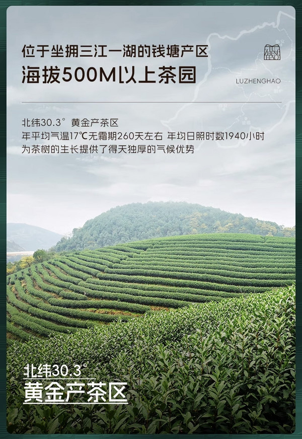 2024年新茶：LUZHENGHAO 卢正浩 明前特级龙井茶 50g*2