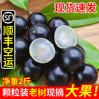 舌尖乡甜 嘉宝果鲜果现摘树葡萄大果新鲜稀有罕见水果  1斤小果