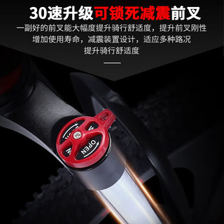 永久（FOREVER）山地自行车成人学生男女 M580黑灰辐条轮26英寸21速