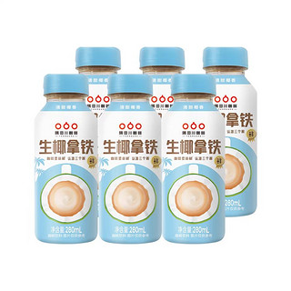 隅田川咖啡 即饮生椰拿铁 280ml*6瓶（）