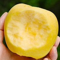 菲农 山东黄金维纳斯苹果5斤 单果75-85mm 新鲜水果