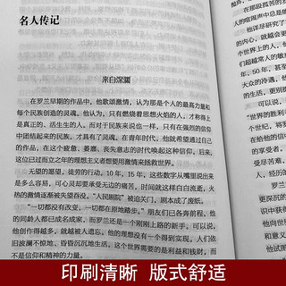 《爱的使徒：罗曼·罗兰》