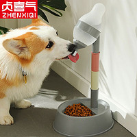 贞喜气 狗狗饮水器 宠物饮水机猫猫滚珠可调节狗食盆猫碗喝水猫咪用品 节节高宠物饮水器