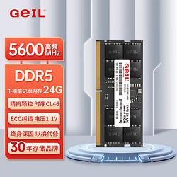 GeIL 金邦 24G DDR5-5600  笔记本内存条 千禧系列