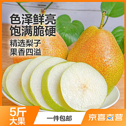 HUA BEI QIANG 華北強 华北强 山西红香酥梨净重5斤大果 新鲜水果