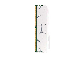 Great Wall 长城 DDR4 4000 马甲条 台式机内存条 16GB