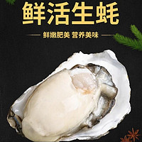 秒杀 1000单！乳山生蚝 XXXL号 5.5斤装 顺丰冷链（带官方溯源防伪标识、死蚝包赔）