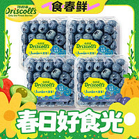 春焕新：Driscoll's Only the Finest Berries 怡颗莓 当季云南蓝莓  云南当季125g*4盒