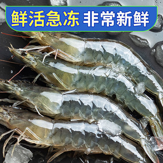 XYXT 虾有虾途 气冻大虾17-20厘米3斤超大青岛大虾特大海鲜一整箱